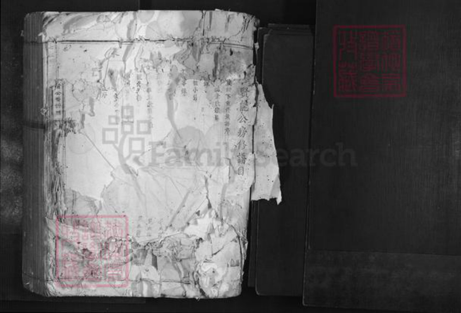 广东省韶关市南雄市叶氏族谱-七星树下叶都督公裔谱牒.pdf电子版插图1 广东省韶关市南雄市叶氏族谱-七星树下叶都督公裔谱牒.pdf电子版插图1