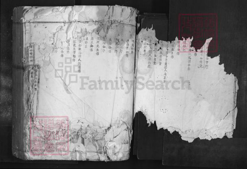 广东省韶关市南雄市叶氏族谱-七星树下叶都督公裔谱牒.pdf电子版插图2 广东省韶关市南雄市叶氏族谱-七星树下叶都督公裔谱牒.pdf电子版插图2