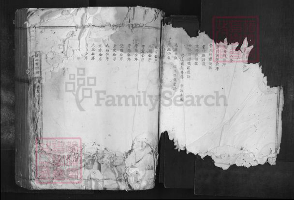 广东省韶关市南雄市叶氏族谱-七星树下叶都督公裔谱牒.pdf电子版插图3 广东省韶关市南雄市叶氏族谱-七星树下叶都督公裔谱牒.pdf电子版插图3