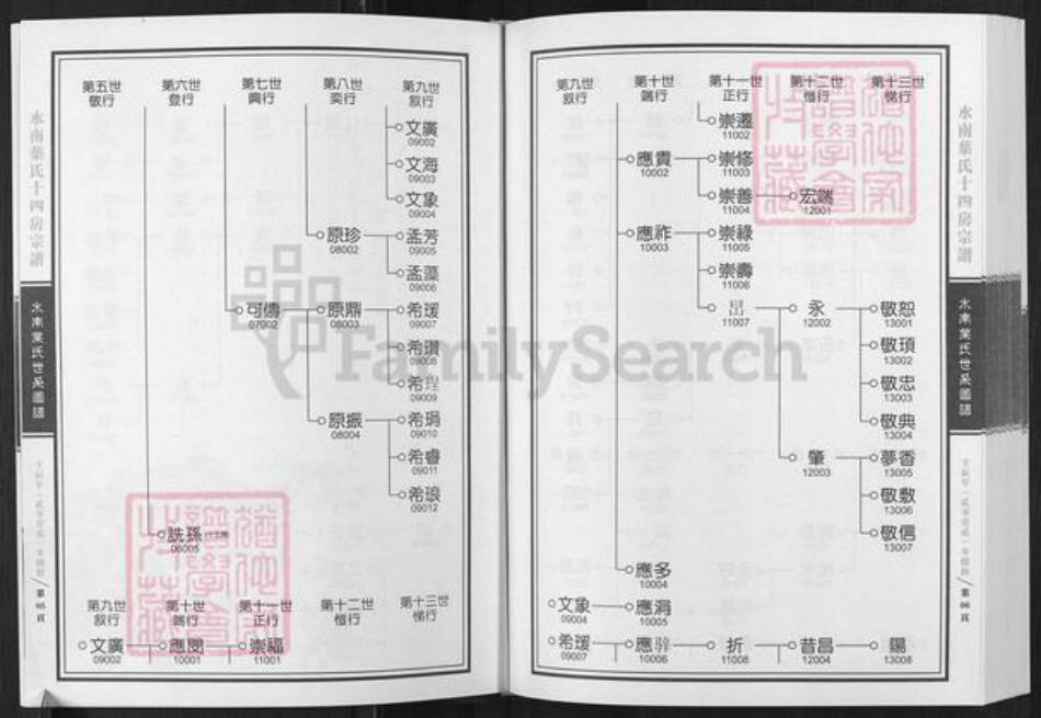 浙江省丽水市青田县叶氏族谱-水南叶氏十四房宗谱.pdf电子版插图5