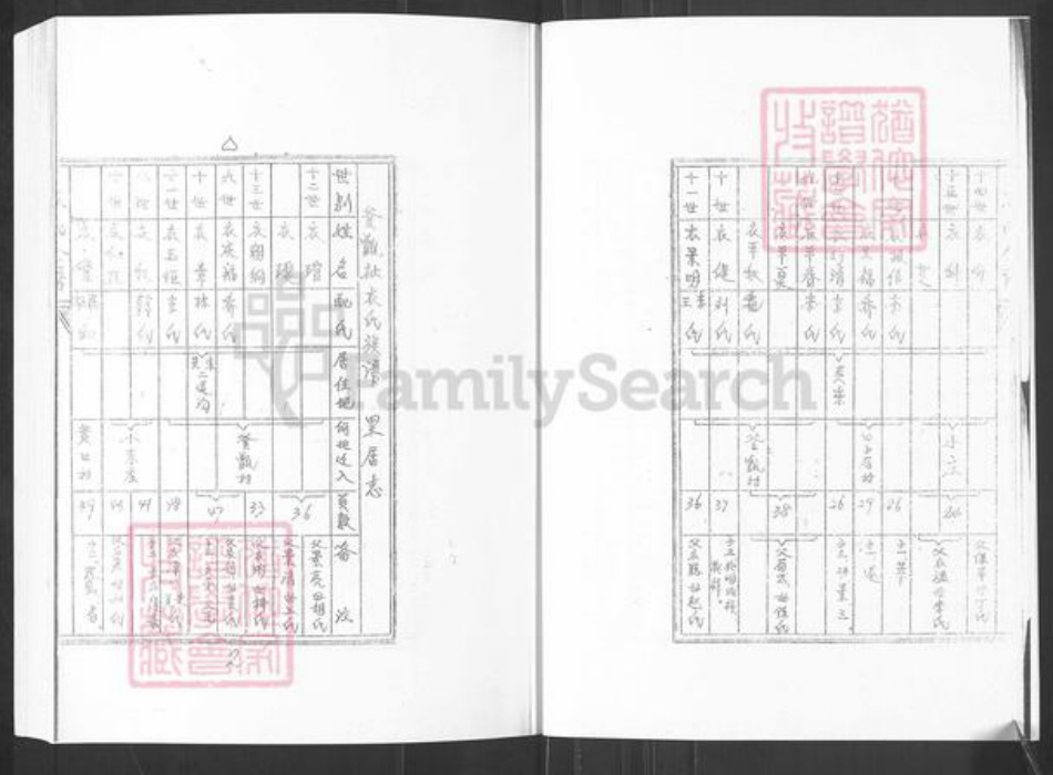 山东省烟台市栖霞市翠屏街道衣氏族谱-栖霞釜甑庄衣氏族谱.pdf电子版插图5