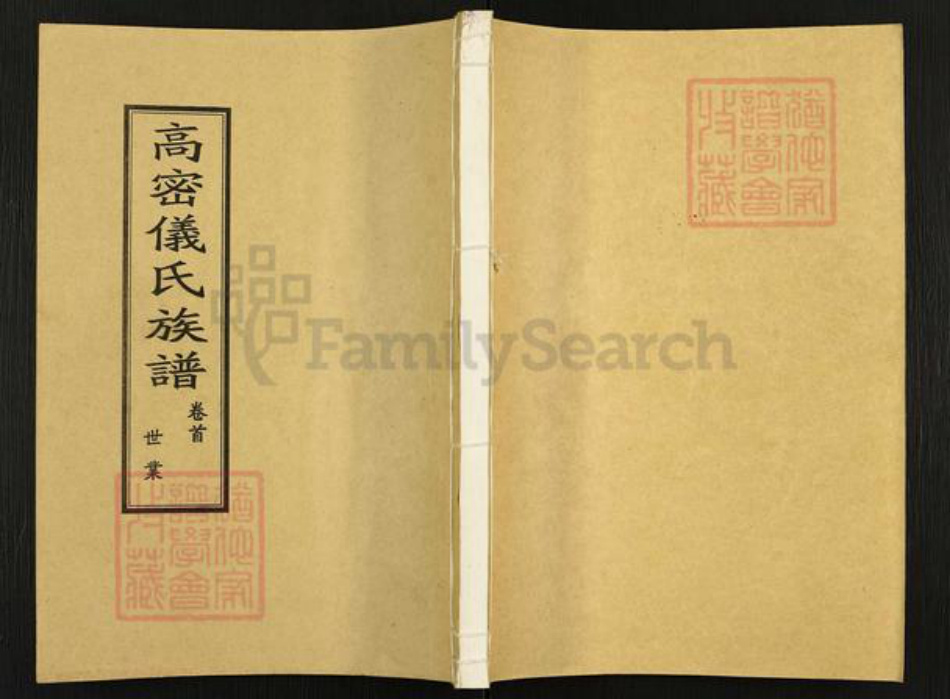 山东省潍坊市高密市仪氏族谱-高密仪氏族谱.pdf电子版