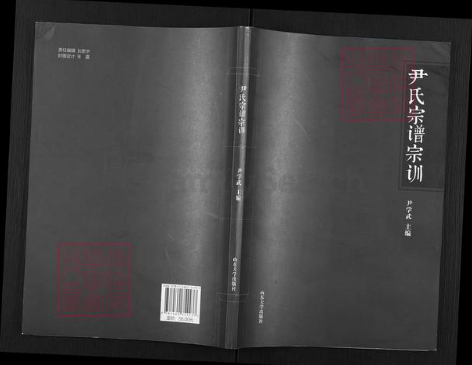 山东省烟台市海阳市朱吴镇尹氏族谱-尹氏宗谱宗训.pdf电子版