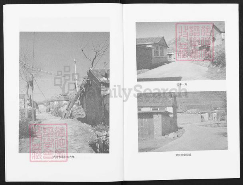 山东省烟台市海阳市朱吴镇尹氏族谱-尹氏宗谱宗训.pdf电子版插图5