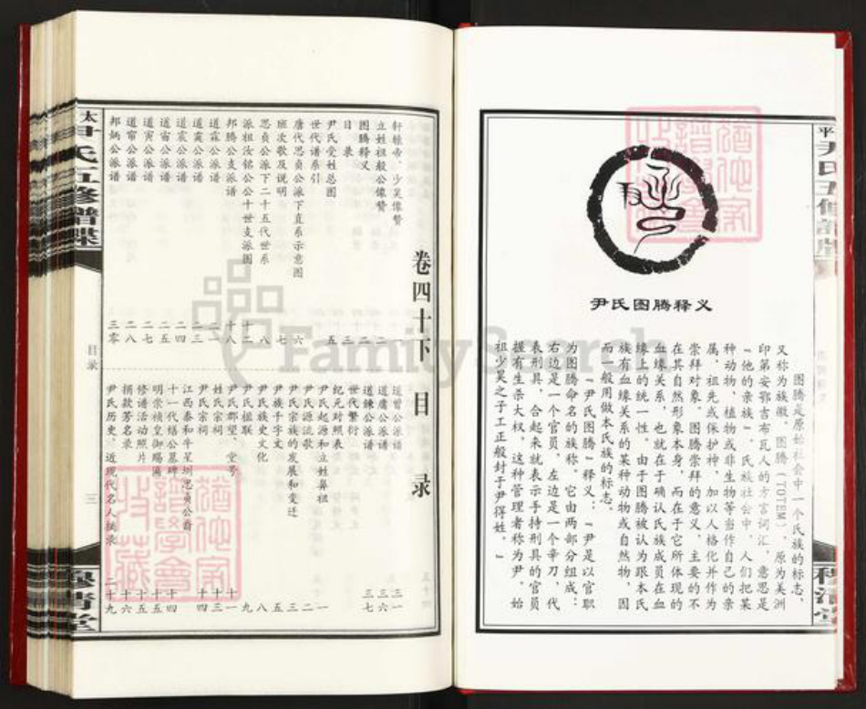 湖南省邵阳市邵东市流泽镇尹氏穆清堂族谱-太平尹氏五修谱碟.pdf电子版插图4