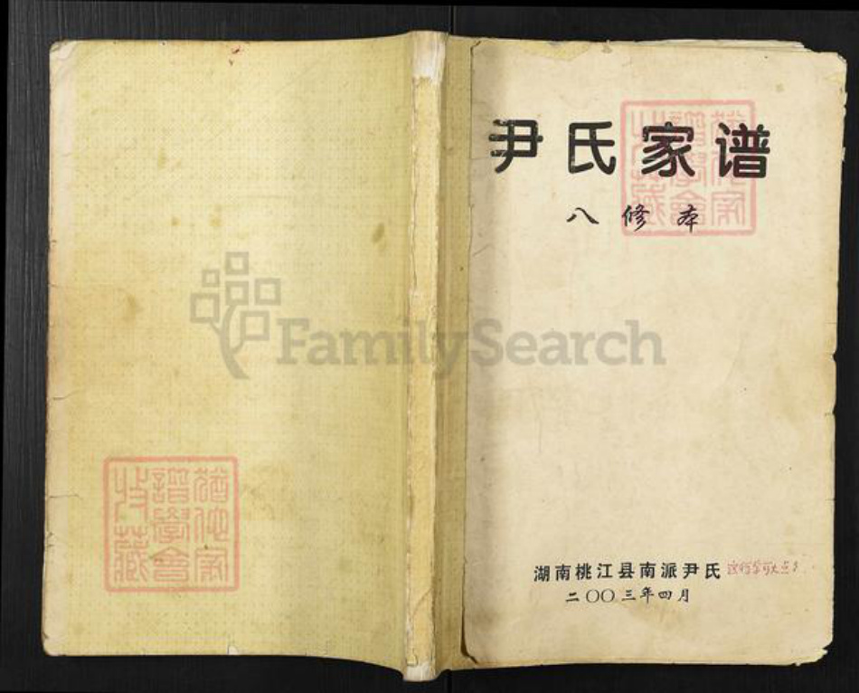 湖南省益阳市桃江县尹氏族谱-尹氏家谱.pdf电子版