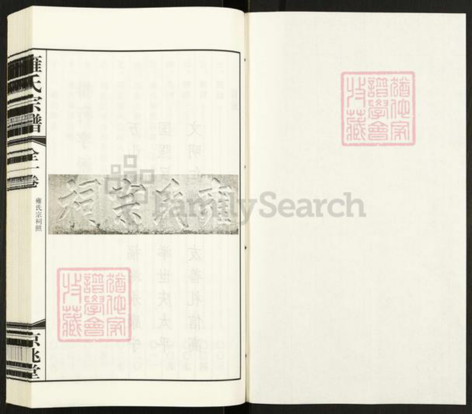 江苏省扬州市高邮市雍氏京兆堂族谱-雍氏宗谱.pdf电子版插图1