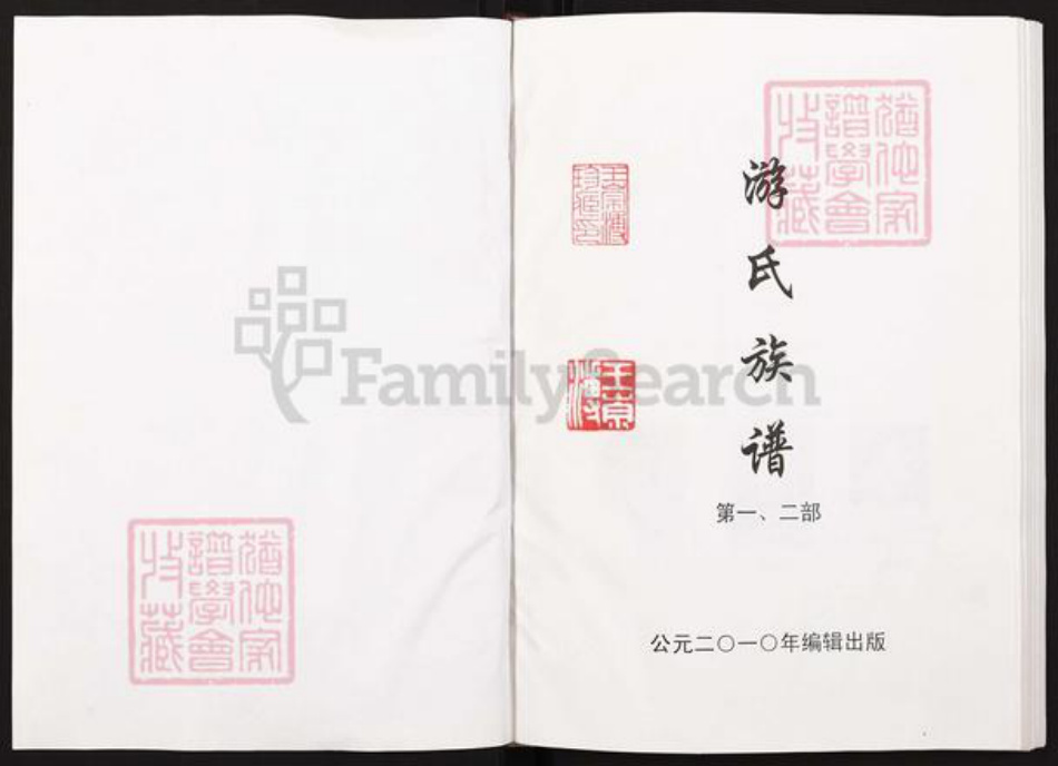 四川省绵阳市三台县潼川镇游氏族谱-游氏族谱.pdf电子版插图1