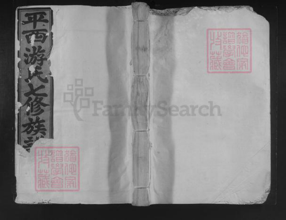 江西省抚州市东乡区游氏族谱-平西游氏七修族谱.pdf电子版插图 江西省抚州市东乡区游氏族谱-平西游氏七修族谱.pdf电子版插图