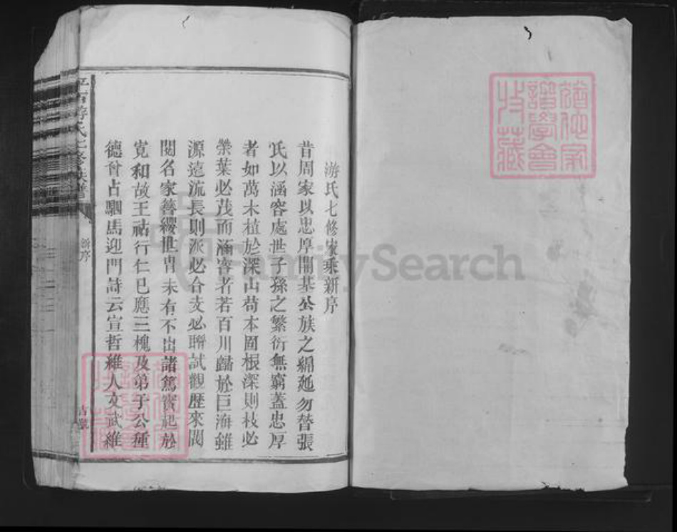 江西省抚州市东乡区游氏族谱-平西游氏七修族谱.pdf电子版插图1 江西省抚州市东乡区游氏族谱-平西游氏七修族谱.pdf电子版插图1