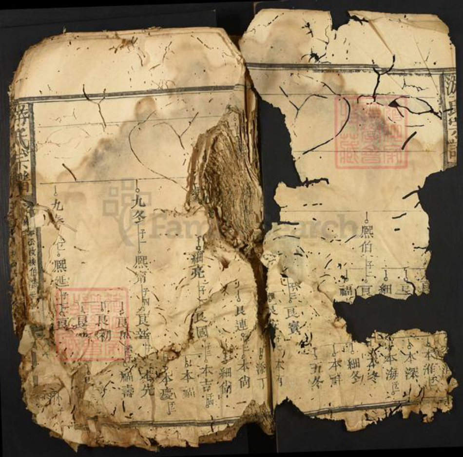 江西省抚州市黎川县樟溪乡游氏族谱-游氏宗谱.pdf电子版插图2