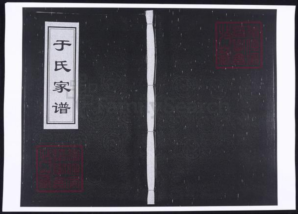 河北省沧州于氏族谱-于氏家谱.pdf电子版