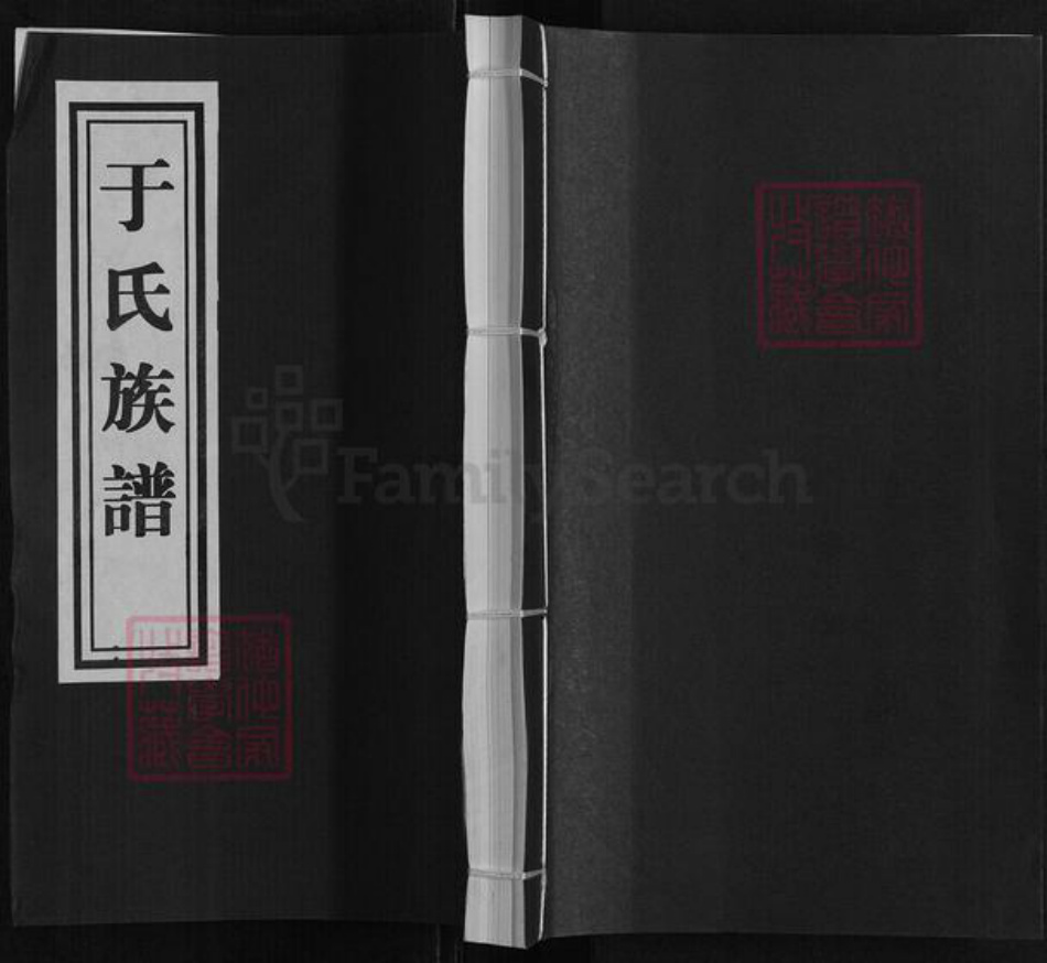 山东省临沂市兰山区山东省临沂市临沂市于氏族谱-于氏族谱[不分卷].pdf电子版