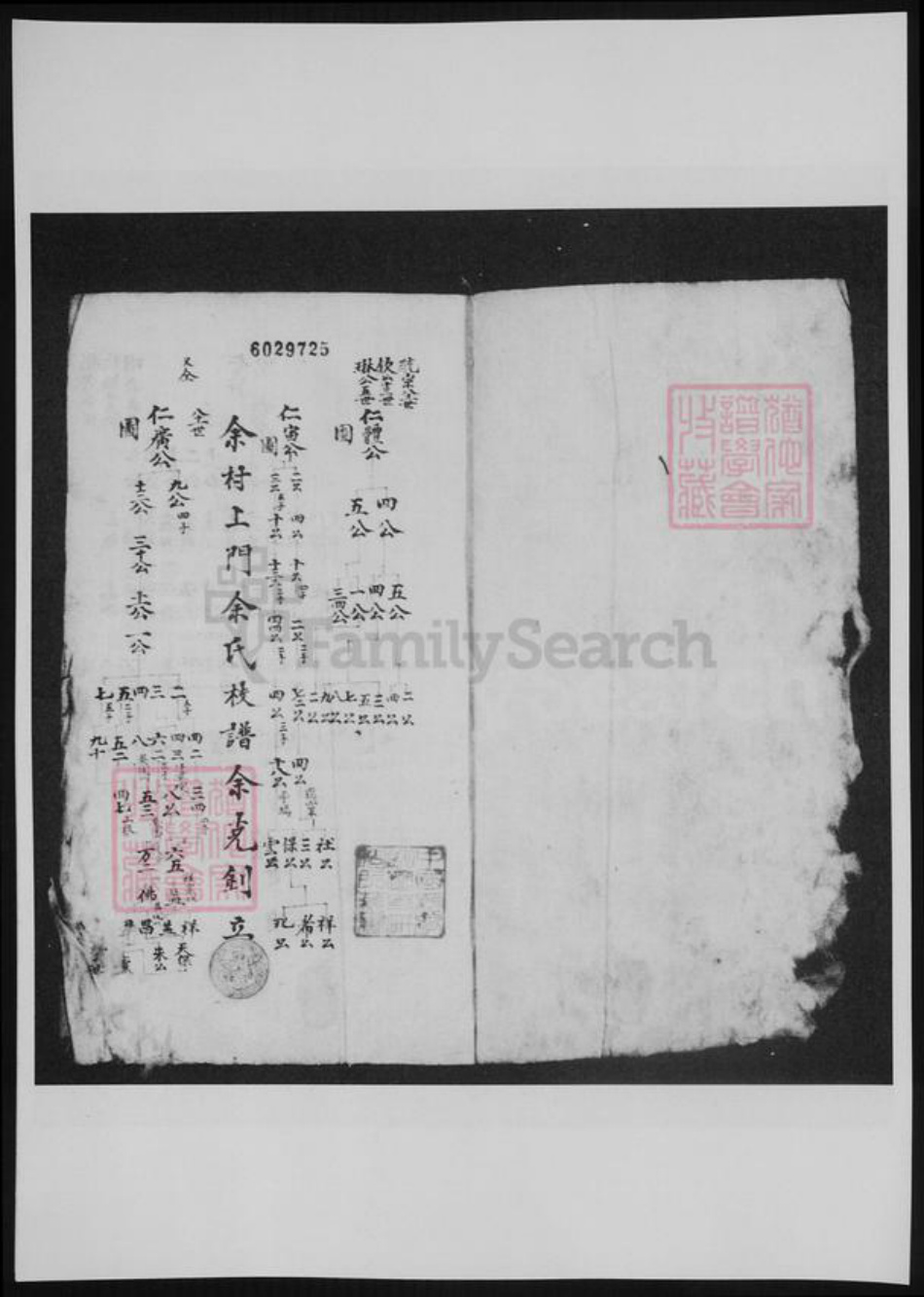 河南省洛阳市余氏族谱-新安余氏世系像谱.pdf电子版插图2