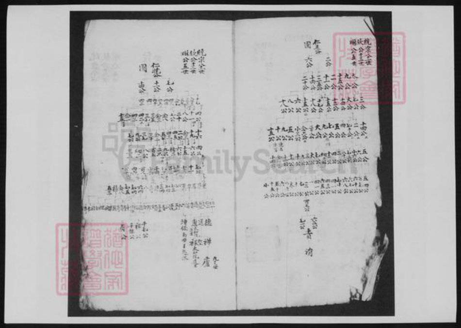 河南省洛阳市余氏族谱-新安余氏世系像谱.pdf电子版插图3