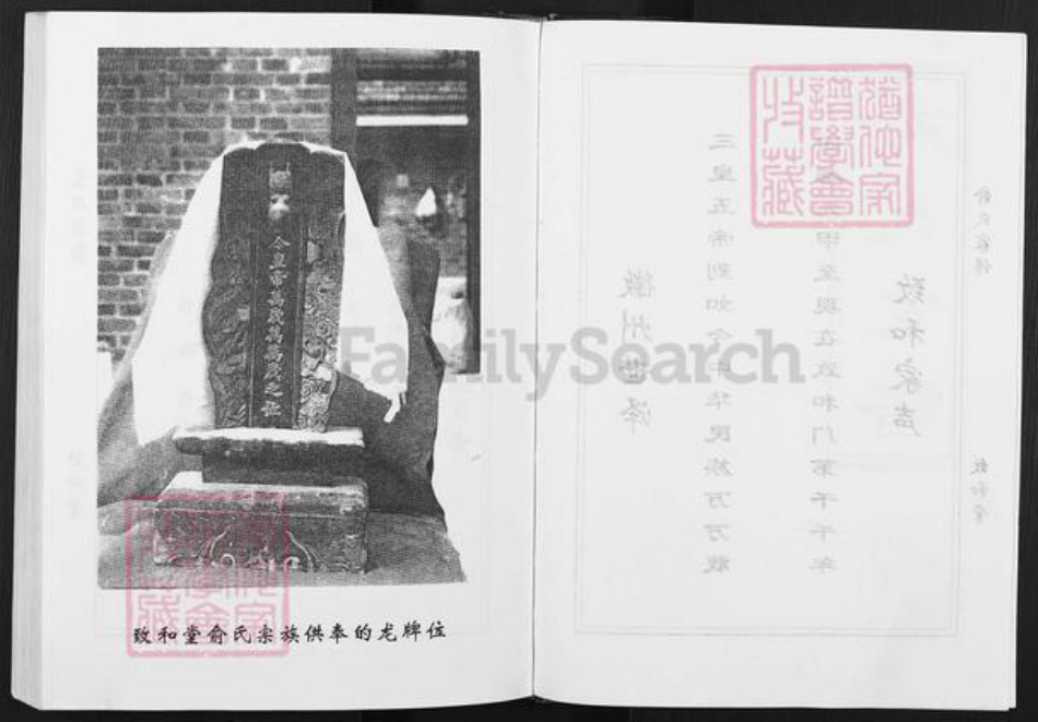 安徽省滁州市天长市俞氏致和堂族谱-俞氏家谱.pdf电子版插图3