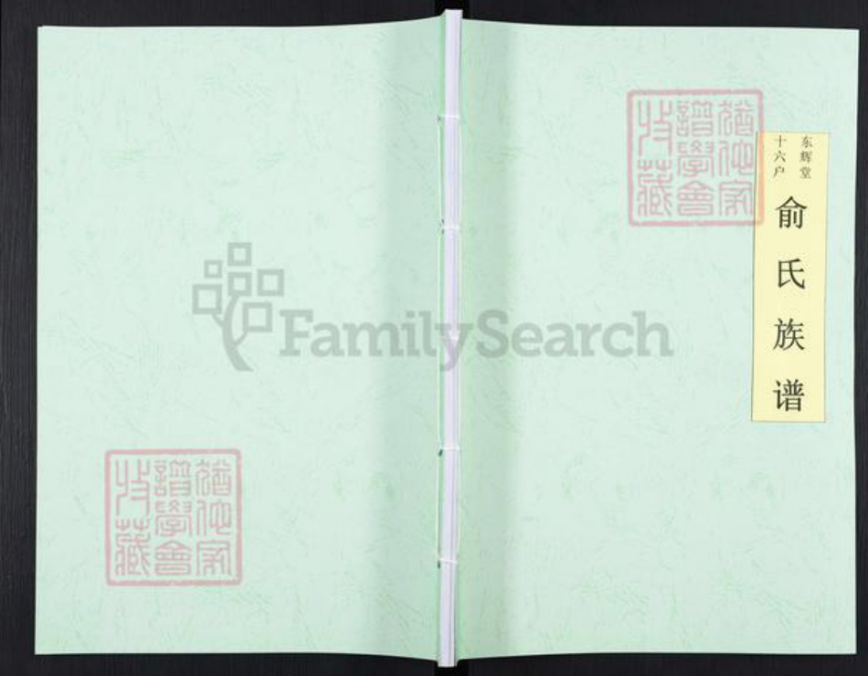 浙江省宁波市余姚市区余姚俞氏东辉堂族谱-东辉堂十六户俞氏族谱.pdf电子版