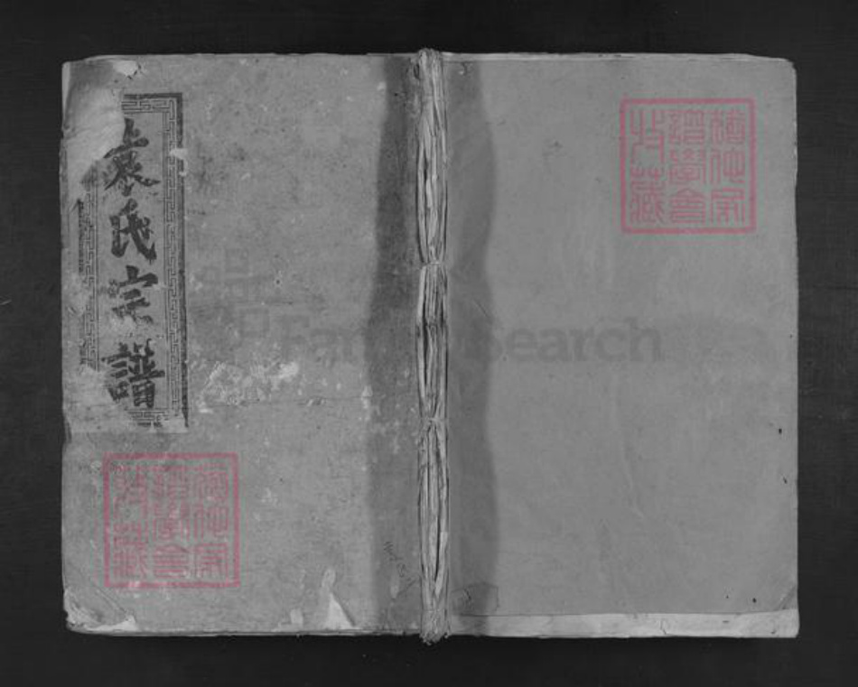 江西省袁氏族谱-袁氏宗谱.pdf电子版