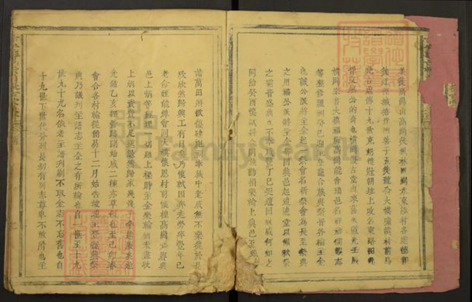 江西省吉安市泰和市袁氏复古堂族谱-吉安泰邑横岗复古堂主谱.pdf电子版插图2