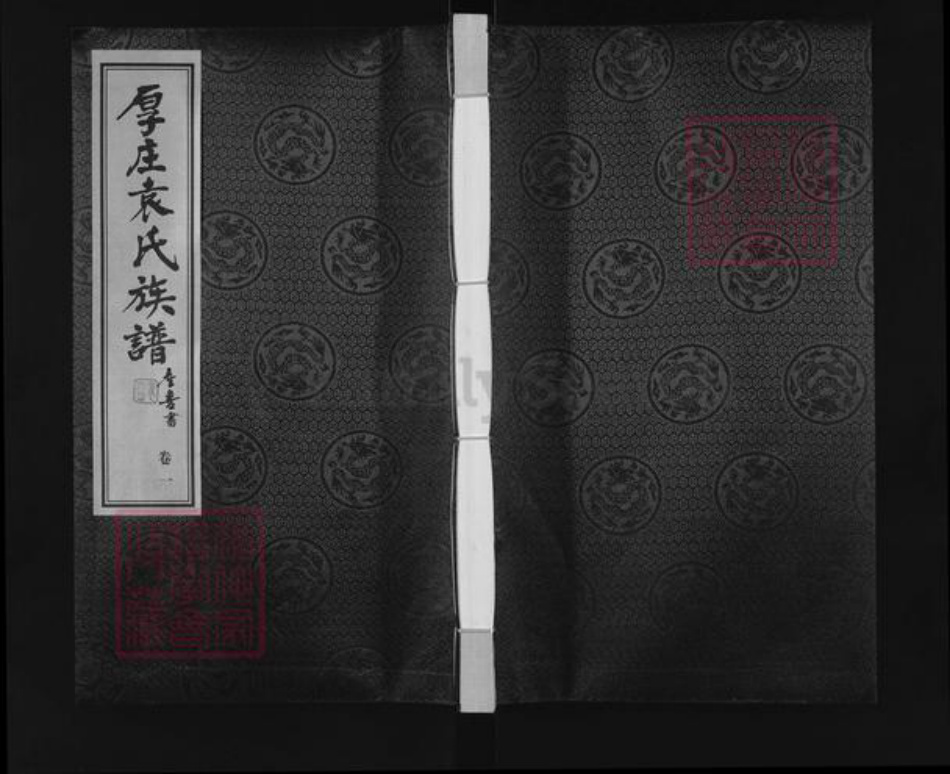 江苏省常州市金坛区儒林镇袁氏承启堂族谱-厚庄袁氏族谱.pdf电子版