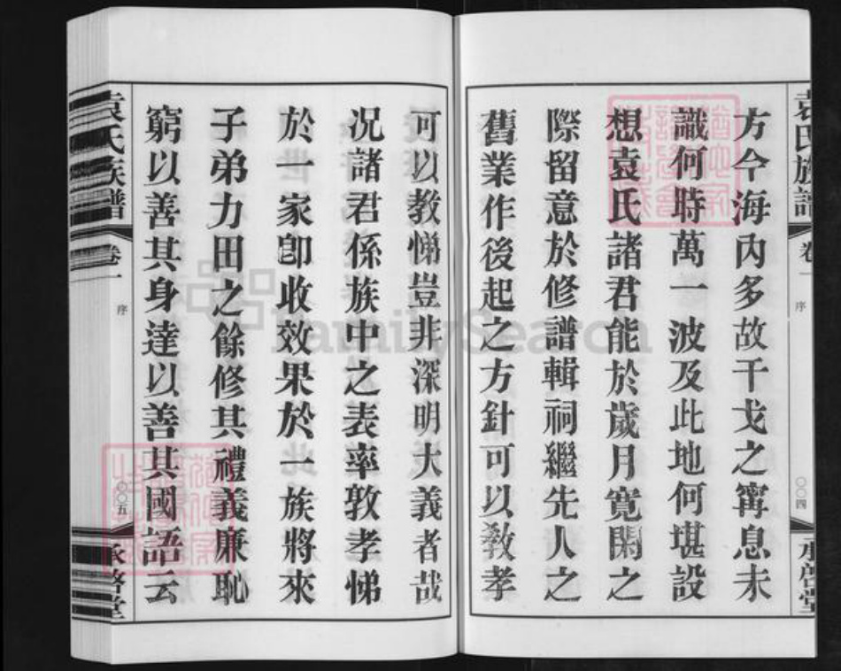 江苏省常州市金坛区儒林镇袁氏承启堂族谱-厚庄袁氏族谱.pdf电子版插图4
