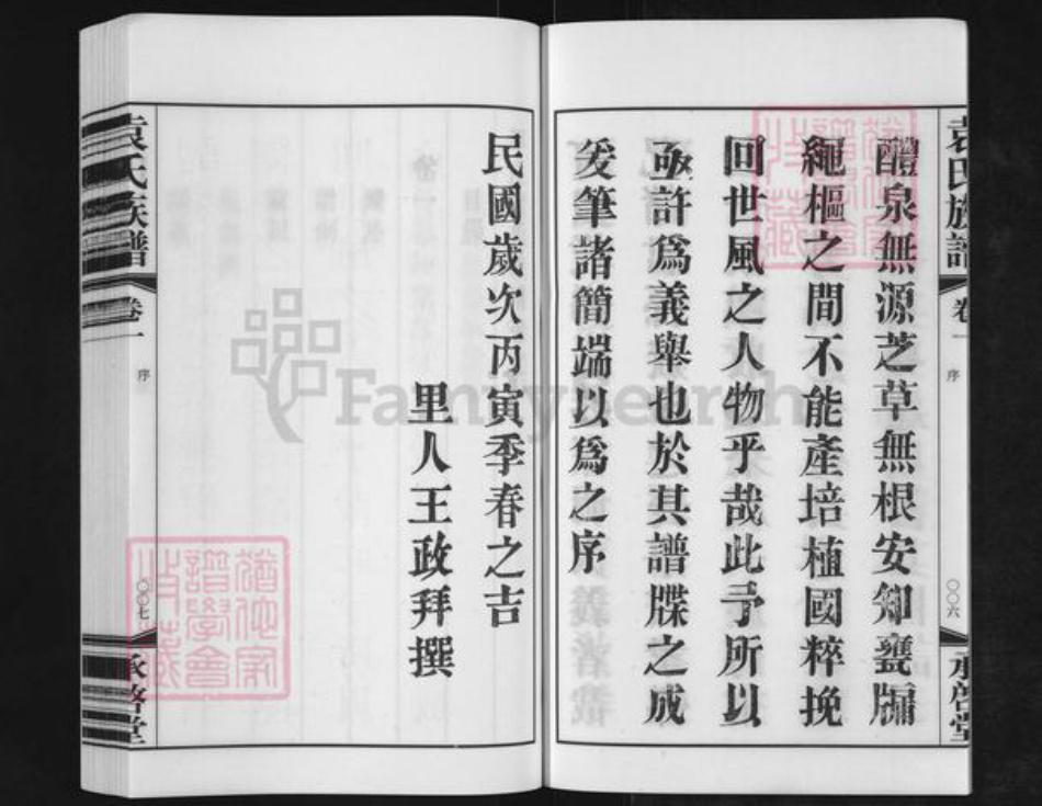 江苏省常州市金坛区儒林镇袁氏承启堂族谱-厚庄袁氏族谱.pdf电子版插图5