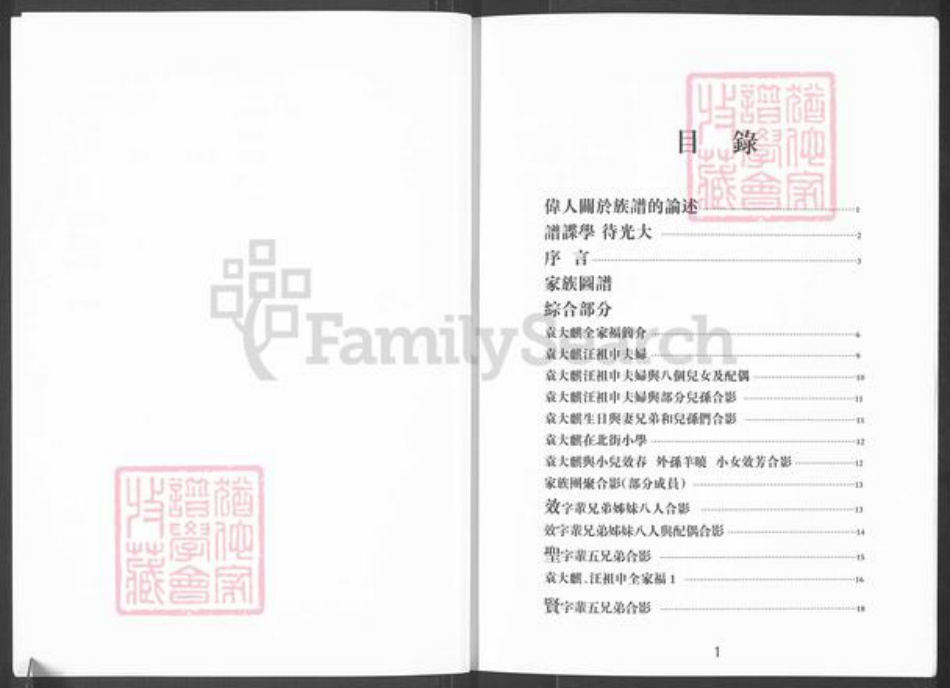 四川省成都市袁氏族谱-袁氏图谱.pdf电子版插图2