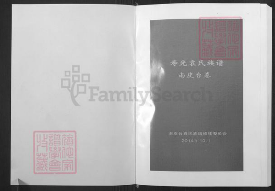 山东省潍坊市寿光市袁氏族谱-寿光袁氏族谱南皮台卷.pdf电子版插图1