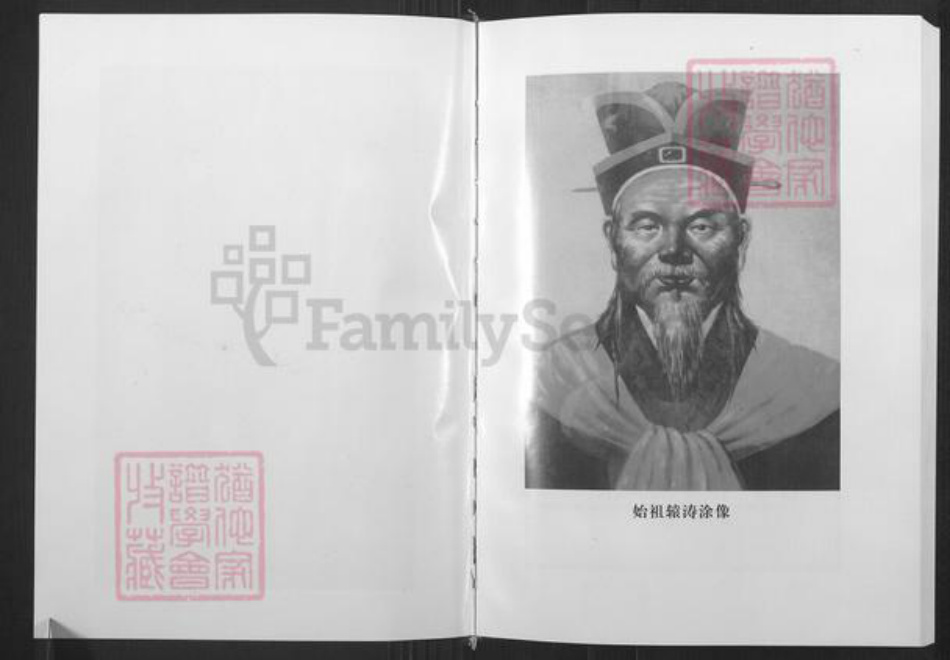 山东省潍坊市寿光市袁氏族谱-寿光袁氏族谱南皮台卷.pdf电子版插图2