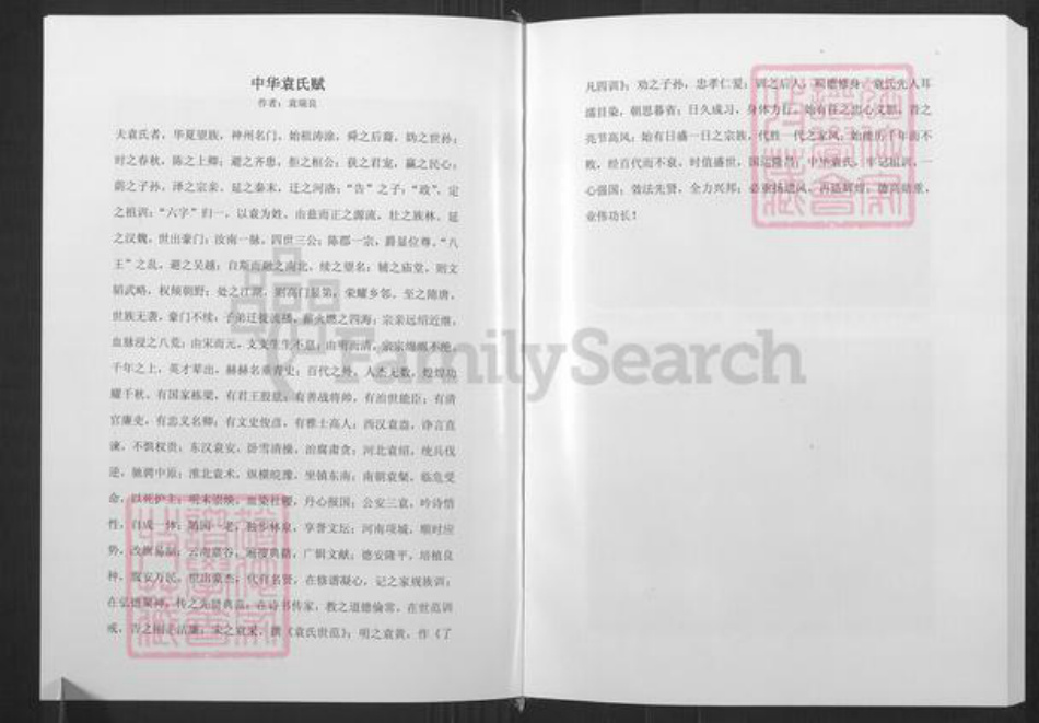 山东省潍坊市寿光市袁氏族谱-寿光袁氏族谱南皮台卷.pdf电子版插图5