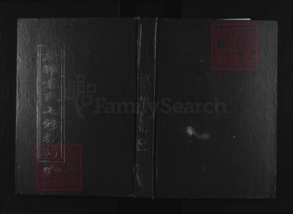 湖南省娄底市双峰县荷叶镇袁氏叙伦堂族谱-新耀袁氏七修族谱.pdf电子版