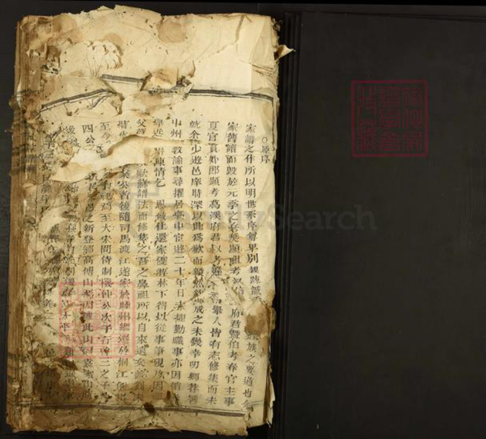 浙江省杭州市富阳新登镇镇袁氏族谱-东安袁氏宗谱.pdf电子版插图1