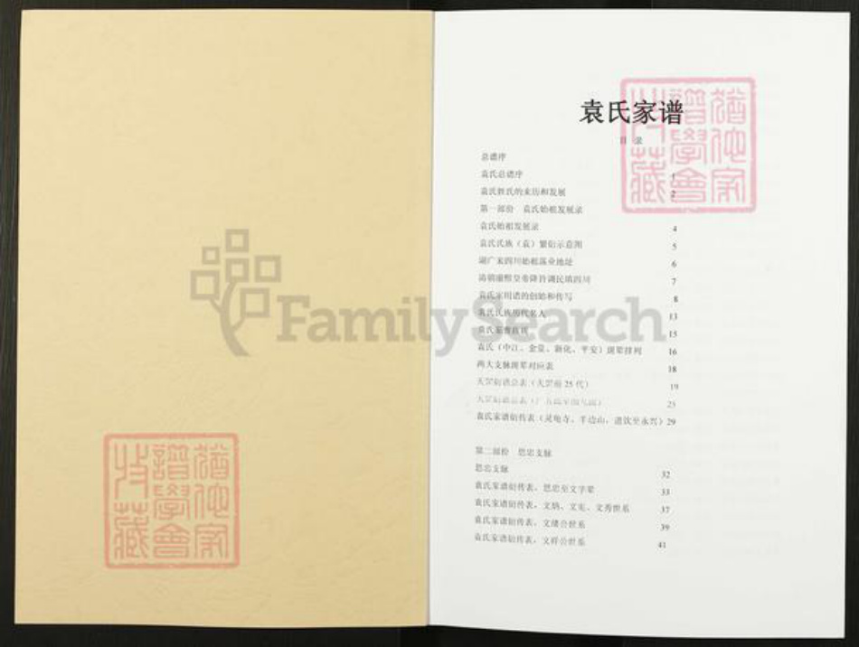 湖南省株洲市茶陵县袁氏族谱-袁氏族谱.pdf电子版插图1