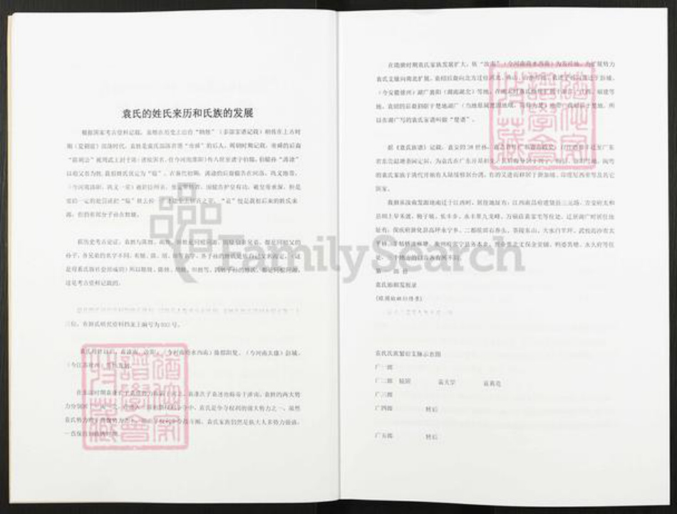 湖南省株洲市茶陵县袁氏族谱-袁氏族谱.pdf电子版插图4