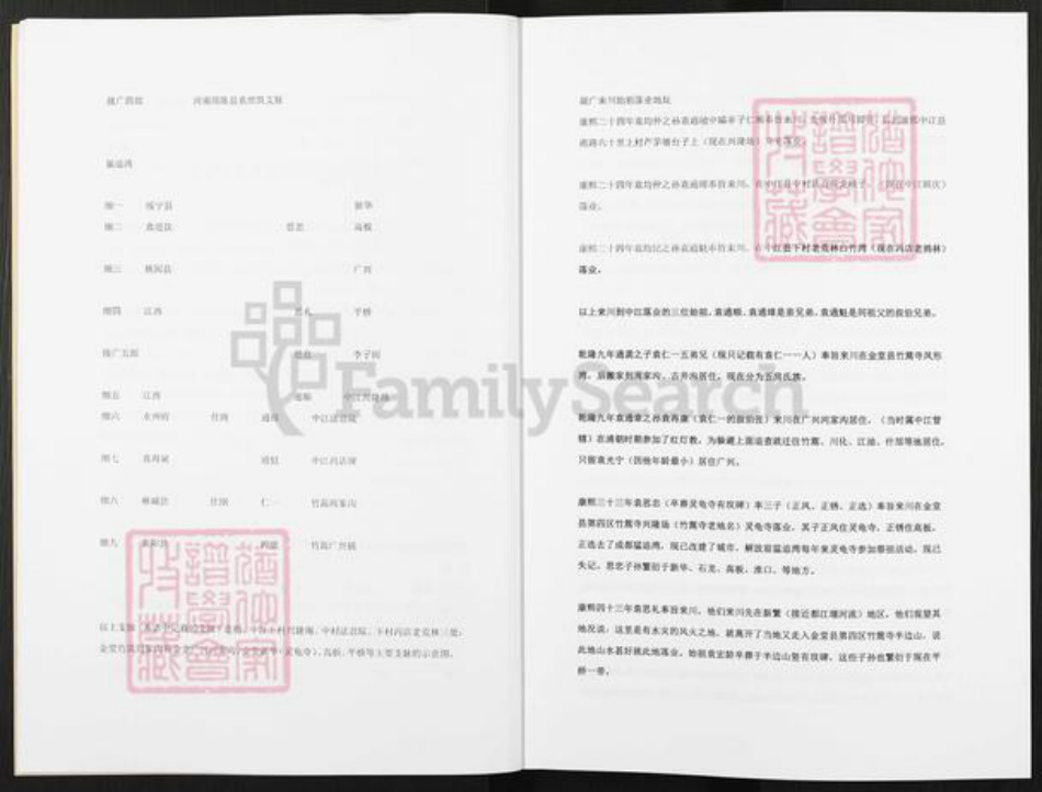 湖南省株洲市茶陵县袁氏族谱-袁氏族谱.pdf电子版插图5