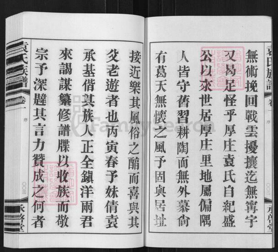 江苏省常州市武进县袁氏承启堂族谱-厚庄袁氏宗谱.pdf电子版插图3