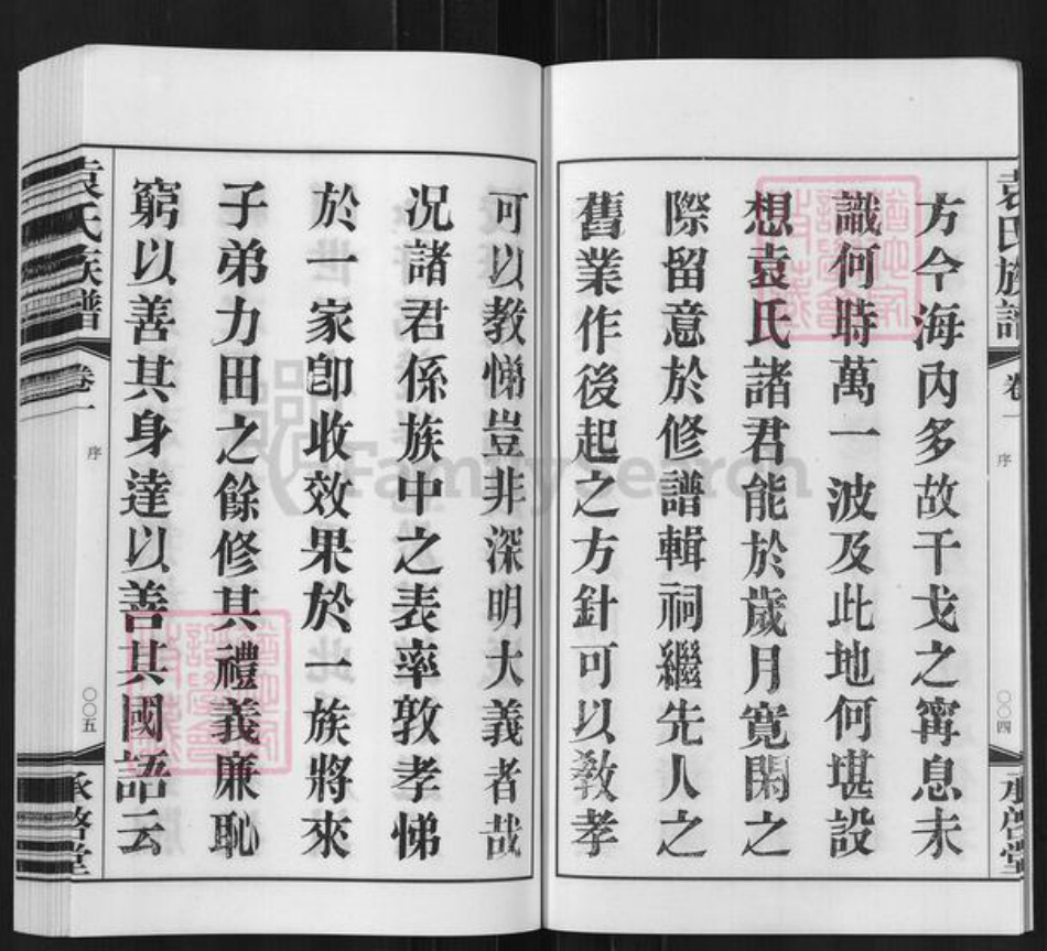 江苏省常州市武进县袁氏承启堂族谱-厚庄袁氏宗谱.pdf电子版插图4