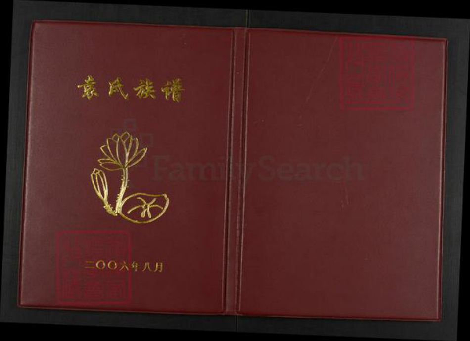 重庆市武隆区江口镇袁氏族谱-袁氏族谱.pdf电子版