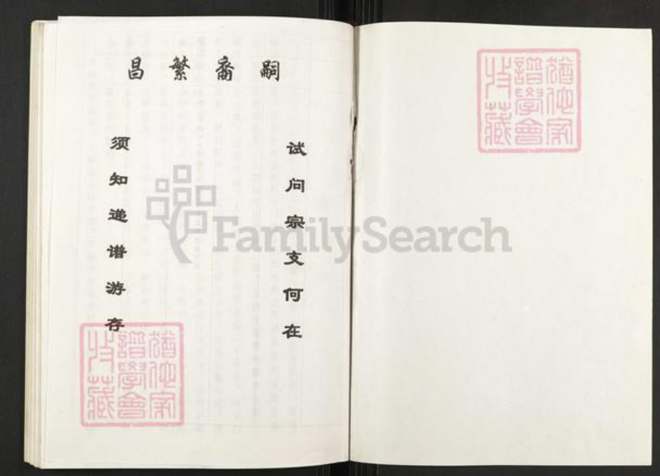 重庆市武隆区江口镇袁氏族谱-袁氏族谱.pdf电子版插图1