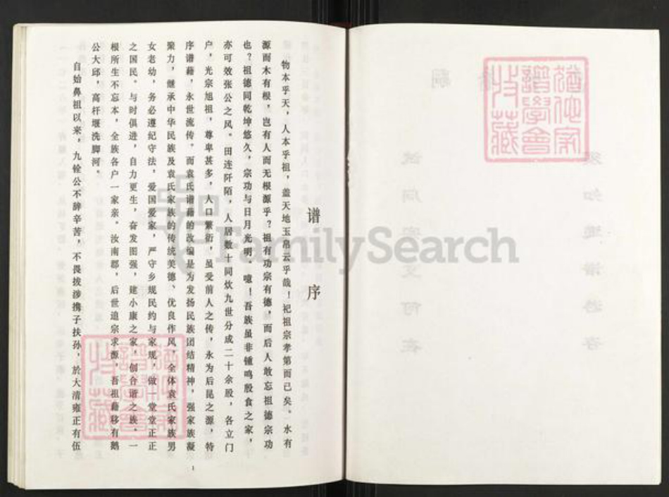 重庆市武隆区江口镇袁氏族谱-袁氏族谱.pdf电子版插图2