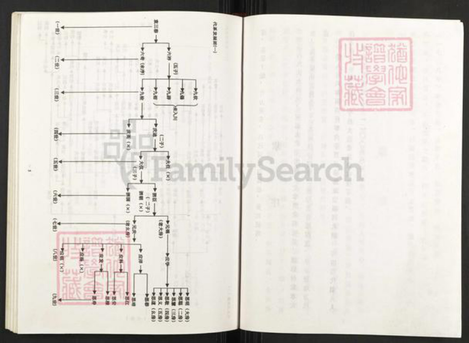 重庆市武隆区江口镇袁氏族谱-袁氏族谱.pdf电子版插图4