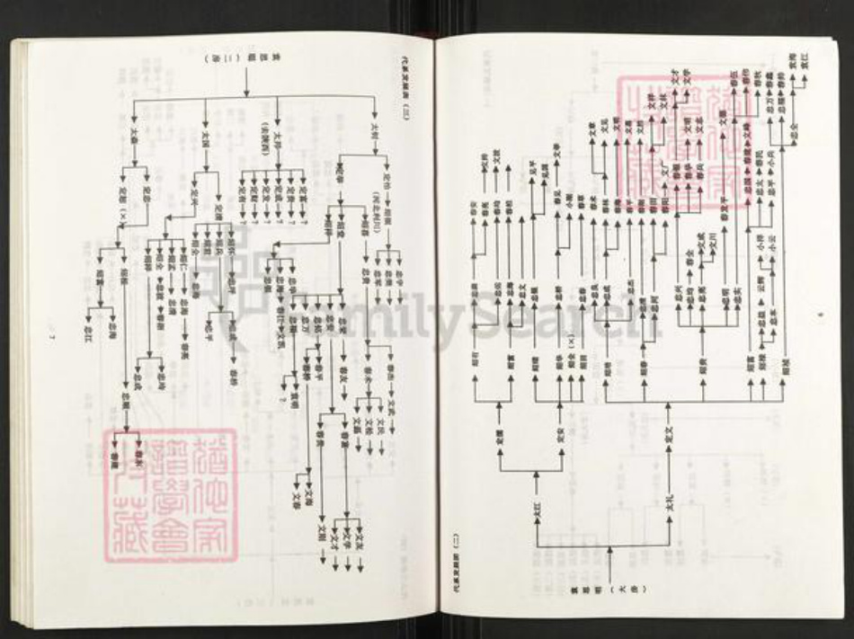 重庆市武隆区江口镇袁氏族谱-袁氏族谱.pdf电子版插图5