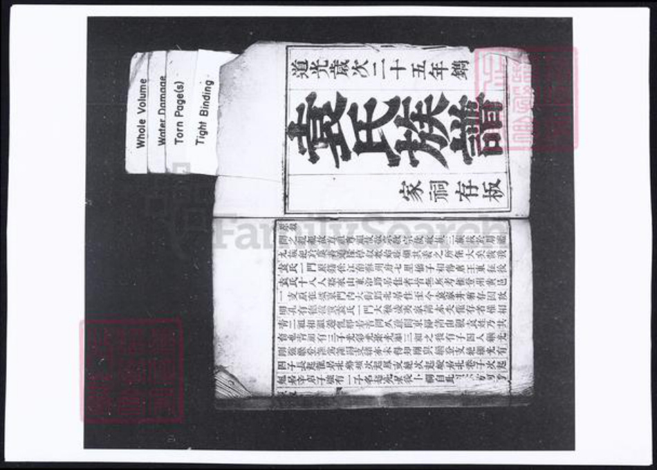 山东省烟台市蓬莱市袁氏族谱-袁氏族谱.pdf电子版插图2