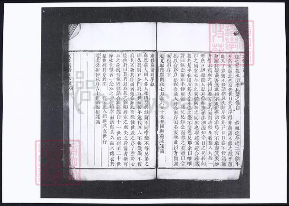 山东省烟台市蓬莱市袁氏族谱-袁氏族谱.pdf电子版插图5