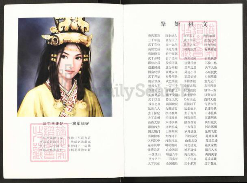 辽宁省沈阳市辽中区苑氏族谱-闯关东苑氏族谱.pdf电子版插图3