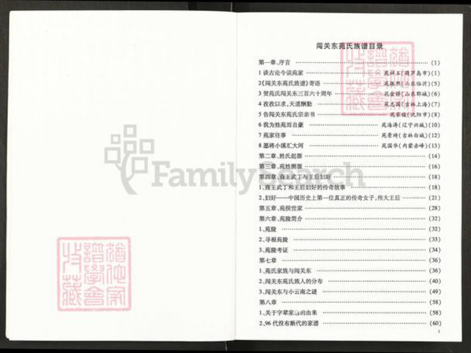 辽宁省沈阳市辽中区苑氏族谱-闯关东苑氏族谱.pdf电子版插图5