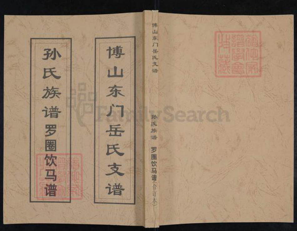 山东省淄博市博山区岳氏族谱-博山东门岳氏支谱.pdf电子版