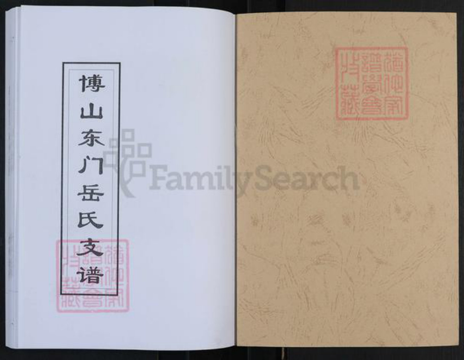 山东省淄博市博山区岳氏族谱-博山东门岳氏支谱.pdf电子版插图1