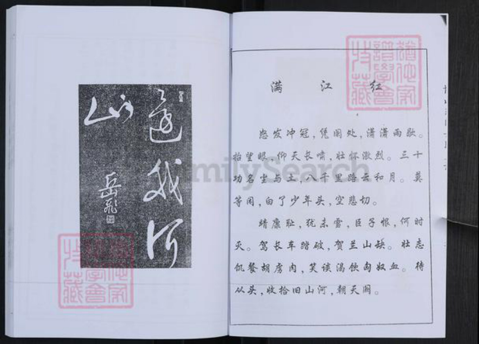 山东省淄博市博山区岳氏族谱-博山东门岳氏支谱.pdf电子版插图3