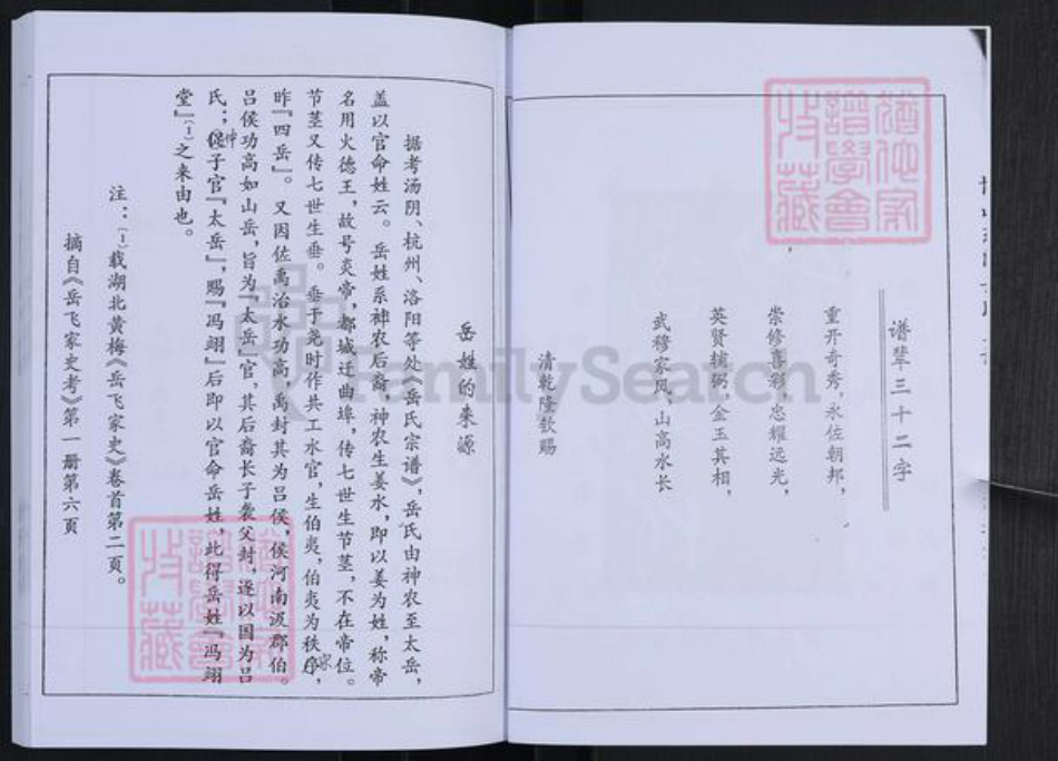 山东省淄博市博山区岳氏族谱-博山东门岳氏支谱.pdf电子版插图4